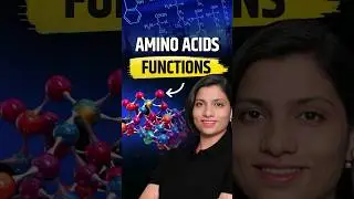 Amino Acids Functions | NEET Concept 