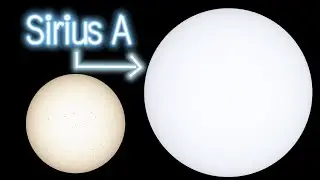 『🌠✨🌟Objects within 10 light years from the🌏solar system☀️』Size Comparison (2024)