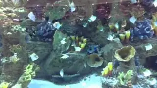 Ocean Plaza Kiyv