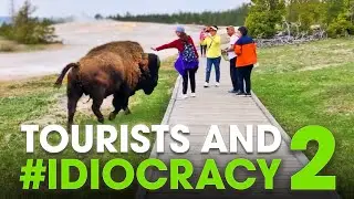Tourists and 