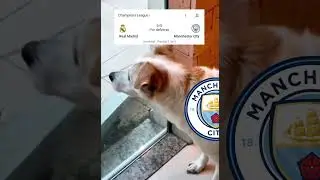 Ucl semi-final😂😂😂