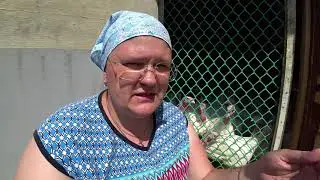 Паразиты на домашней птице. Что делать?