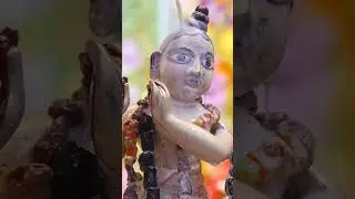 Radhastami abhishek at ISKCON Boston 2023 #shorts