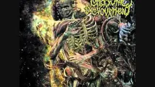 Embryonic Devourment - Cleansing The Infinite