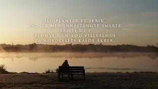 Børli ensomhet redigert