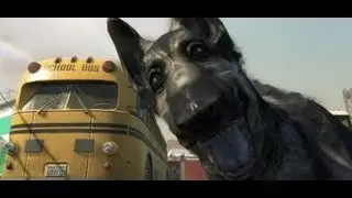 Road to Perros a Cuchillo #1