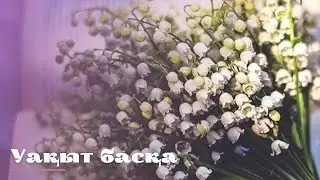 Ақұштап Бақтыгереева “Мөлдір махаббат”