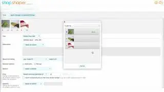 How to edit Etsy listings in bulk with ShopShaper