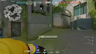 is that the tactibear?