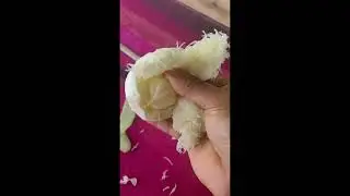 aiya nu moi ki dekilu😱😱😱|| vairel mini volg || @ReemaDoley