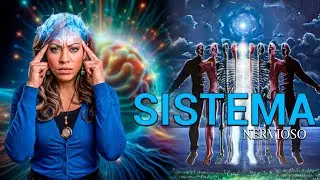 Sistema nervioso Central y la 5D