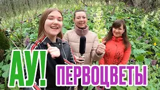 Ау! Первоцветы / Шумные дети