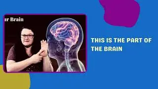 What does Flip the Lid mean? | Sing Create Play