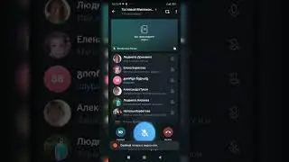 26 июня 2024 г.