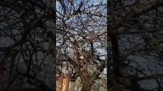Ну и как Вам зима!