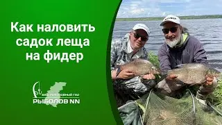 Как наловить садок леща на фидер. Любитель и спортсмен. Почувствуйте разницу.