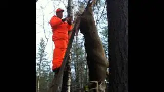 9 Pointer