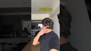 ¿Vieron el perro? 😳 