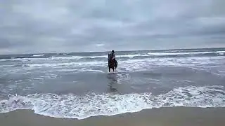 Анапчанин верхом на коне зашел в холодное февральское море