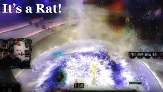 Ratatoskr Jungle Experience