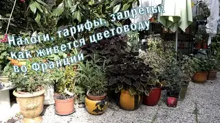 Как живется цветоводу во Франции