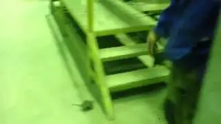 Приколы с пойманной крысой! Прыгающая крыса! Поймали на крысиный клей