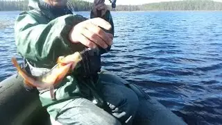 Рыбалка летом, первая часть.