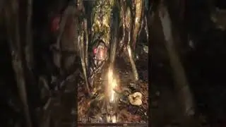 CURIOSIDADES DE DARK SOULS 2 