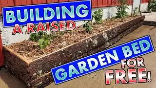How To Build A DIY Raised Vegetable Garden Bed FOR FREE Using Local Materials On A Homestead 4k