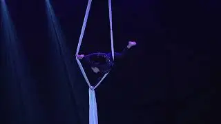 Catwalk,  Кияева Александра, г.  Красноярск, воздушные полотна
