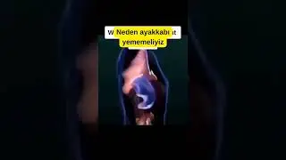 Neden ayakkabı yememeliyiz #keşfet #trend #fyp #keşfetbeniöneçıkar