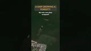 A Ship Has Created Its Own Forest!