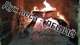 Дух леса - Леший.  Леший убивает и оживляет. Страшный рассказ на ночь.
