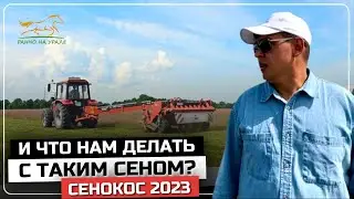 Сенокос 2023 | Такого сюжета на полях еще не было | Деревенские будни