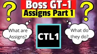 Boss GT-1 Assign Tutorial | What are Assigns? | Walkthrough in Boss Tone Studio
