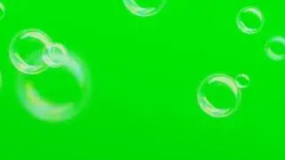 Bubbles Green screen video