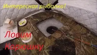 Ловля Корюшки, Первая рыбалка в Новом Году!
