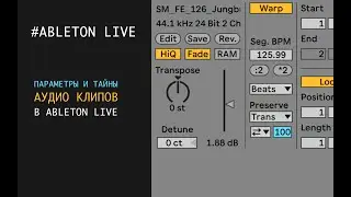 Что такое аудио клип в Ableton Live