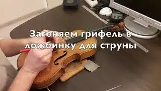 Как сохранить струны на скрипке,альте