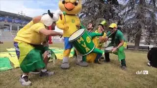 Canarinho Pistola comandando torcida Brasileira