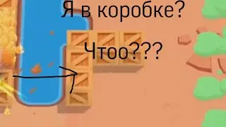 Я спрятался в коробке???