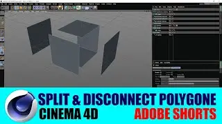 Split & Disconnect Polygone || cinema 4d || Adobe Shorts