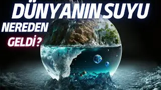 Where Did the Earth's Water Come From? Where Did the Water Come From?