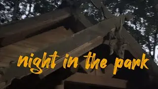 night in the park. Don't be afraid, it's not scary