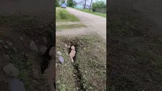 Кот залез в трубу