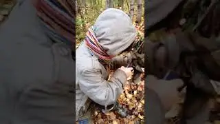 Металлокоп октябрь 2024
