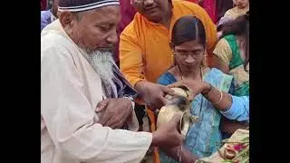 Chhatha parb Chhatha puja video song 