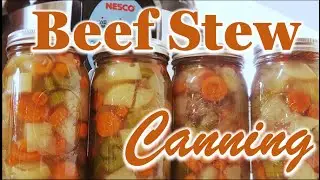 Canning Beef Stew (EASY) | Pressure Canning Tutorial | Home Canning 101