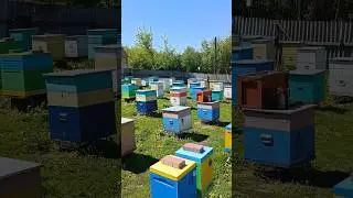 СОЛНЦЕ СВЕТИТ НО НЕ ГРЕЕТ! С ДНЁМ ПОБЕДЫ ВСЕХ!
