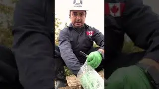 Soil sampling QA/QC